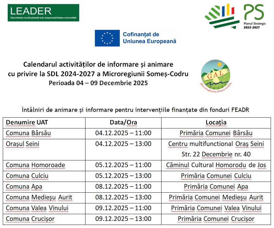 Calendar activitati de animare Decembrie 2025